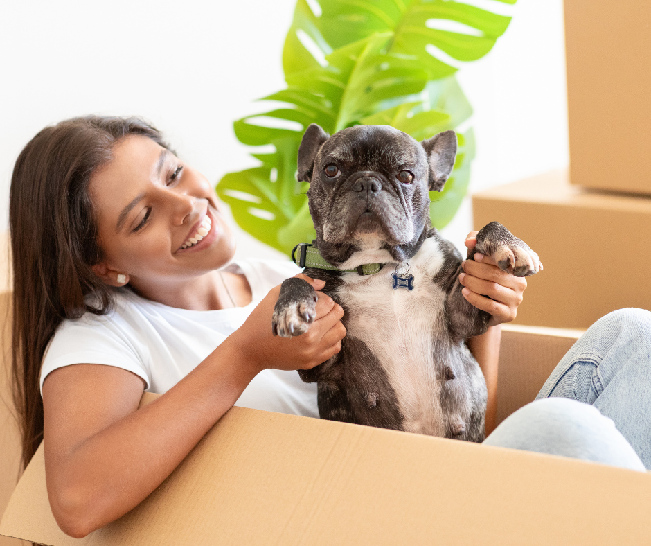 5 Most Important Tips for Moving Pets in Didcot - Allen Relo